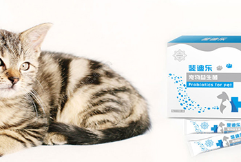 宠物益生菌包装